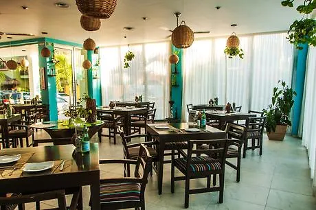 Soho Playa Hotel 4*