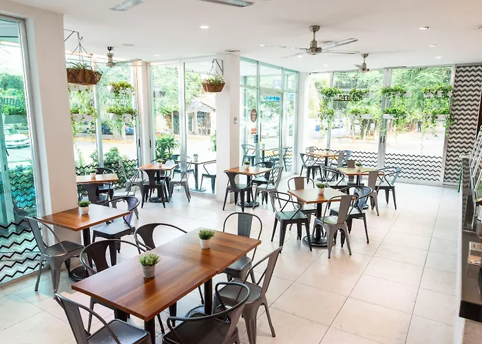 Soho Playa Hotel