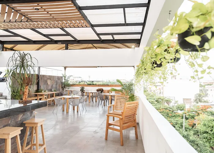 Soho Playa Hotel 4*