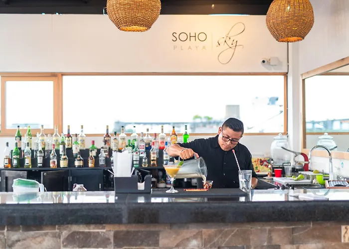 Hotel Soho Playa 4*