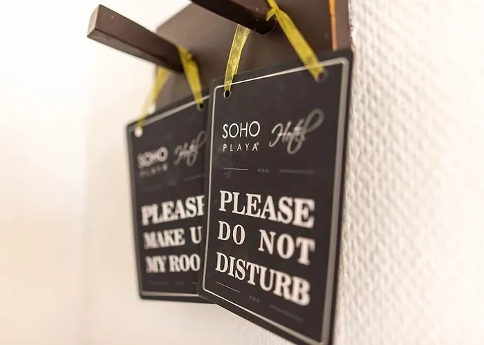 Hotel Soho Playa 4*