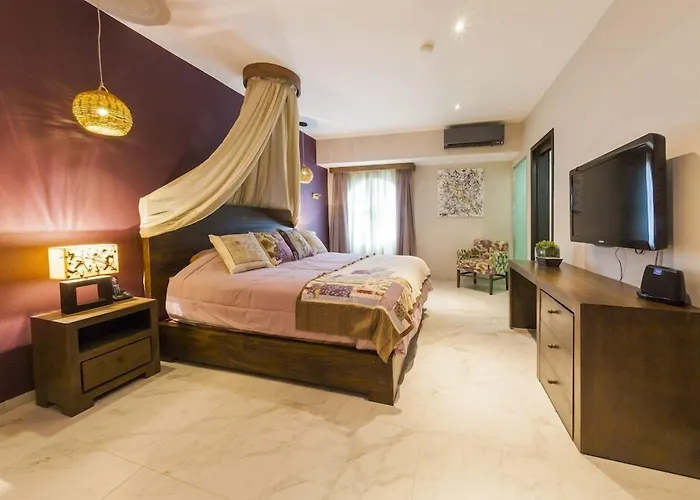 Soho Playa 4*